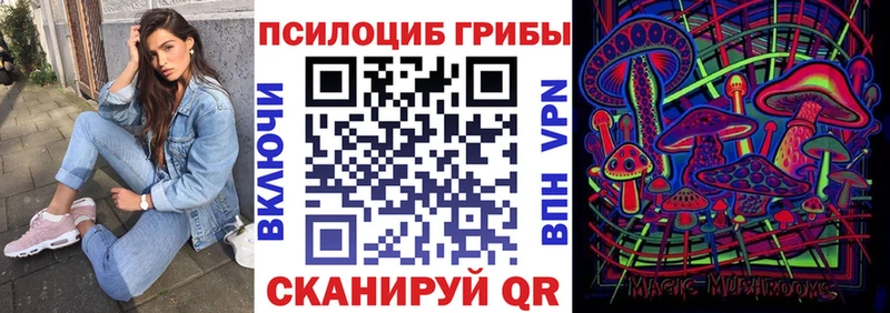 Псилоцибиновые грибы Psilocybine cubensis  Серафимович 